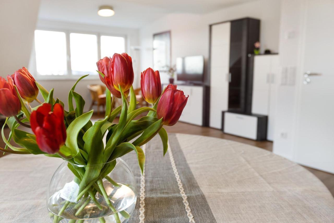 Kleine Auszeit Apartment Albbruck ภายนอก รูปภาพ